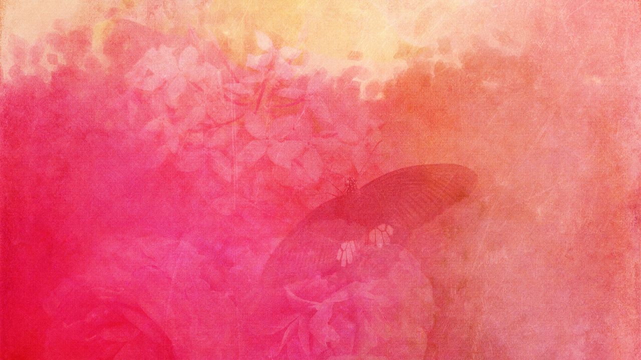 Обои текстура, бумага, бабочка, цветок, розовый