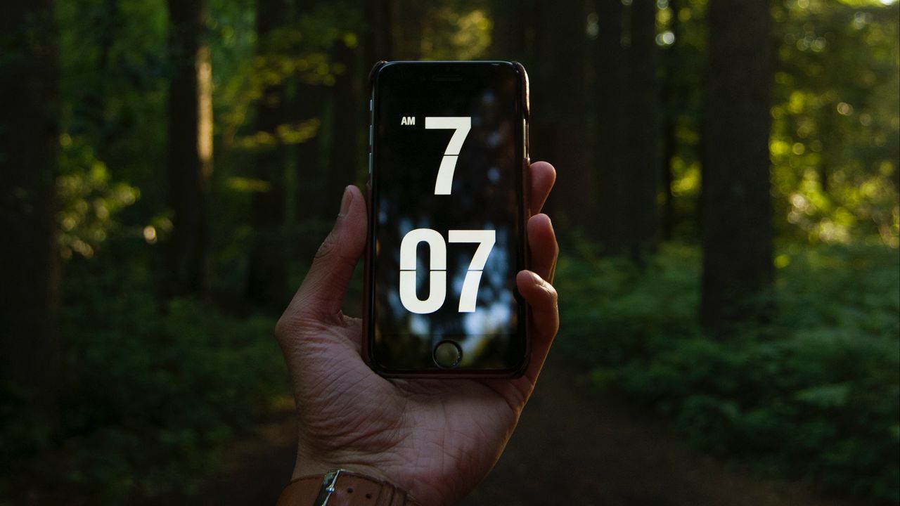 Обои телефон, рука, время, лес, деревья
