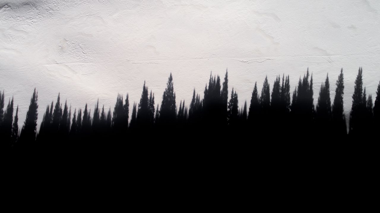 Обои тень, деревья, стена, текстура