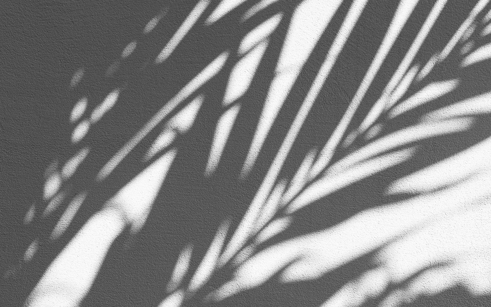 Shadows background. Тень от листвы. Тень от листвы на стене. Тени от листвы Эстетика. Фон с тенью от листьев.