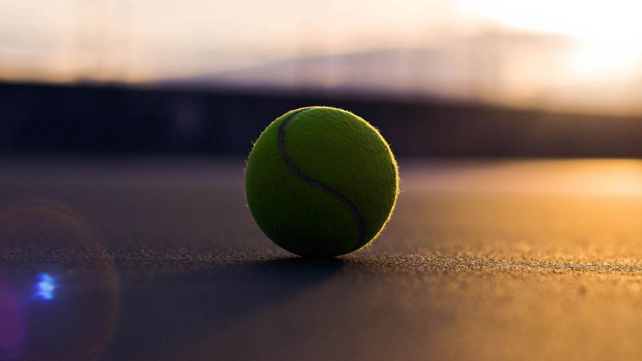 Обои теннисный мяч, асфальт, тень, спорт, изгиб