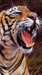 Превью обои тигр, большая кошка, оскал, полосатый, злость