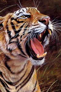 Превью обои тигр, большая кошка, оскал, полосатый, злость