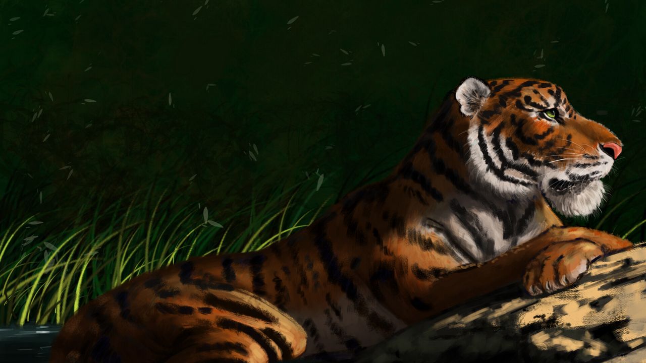 Обои тигр, большая кошка, профиль, хищник, арт