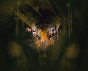 Превью обои тигр, глаза, взгляд, прятаться