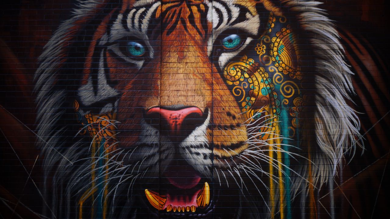 Обои тигр, граффити, стрит арт, стена, разноцветный
