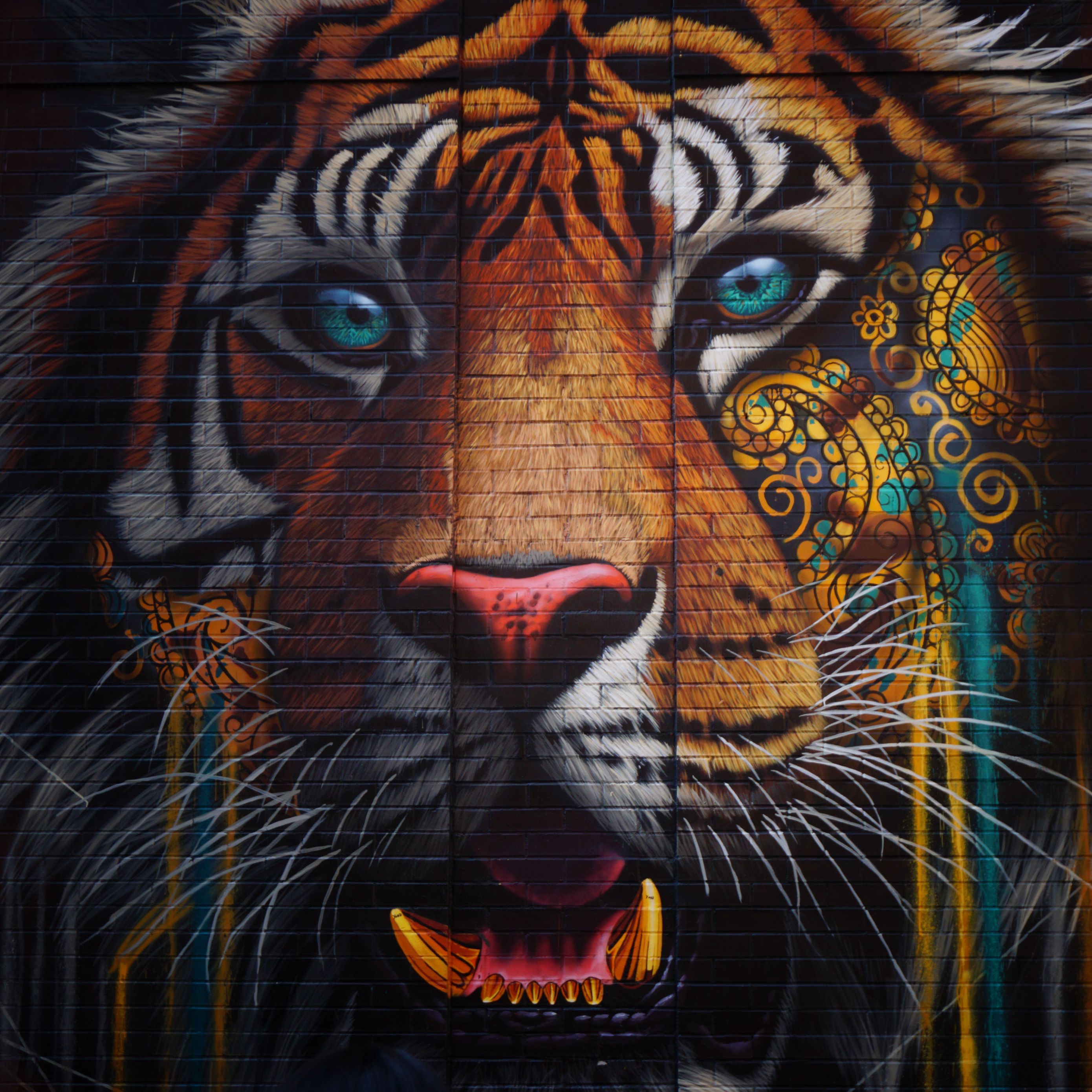 Тигр арт разноцветный
