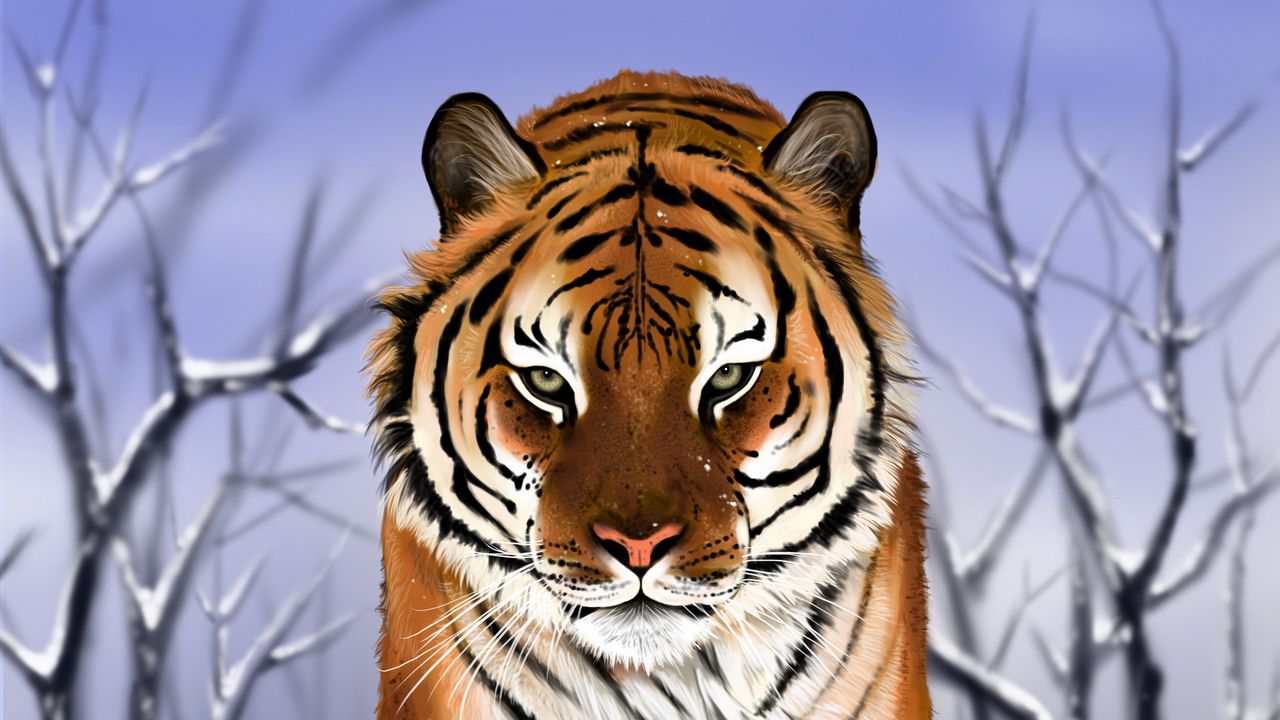 Обои тигр, хищник, большая кошка, снег, арт