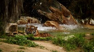 Превью обои тигр, хищник, большая кошка, животное, водопад, камни