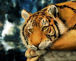 Превью обои тигр, морда, большая кошка, полосатый