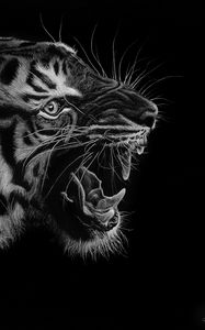 Превью обои тигр, оскал, арт, чб, хищник