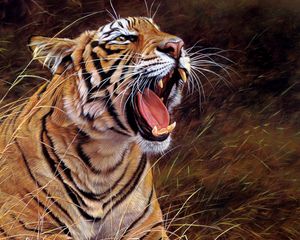 Превью обои тигр, оскал, большая кошка, агрессия