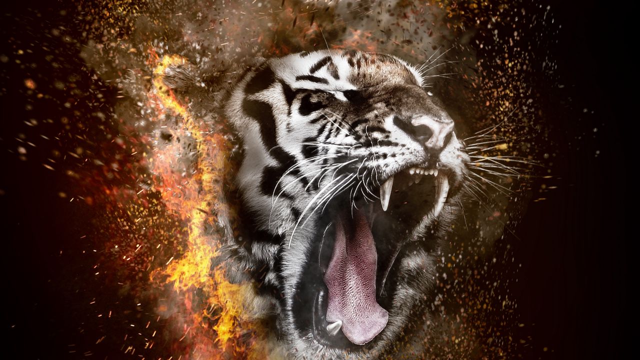 Обои тигр, оскал, фотошоп, огонь