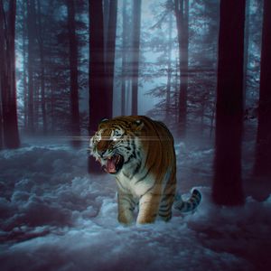 Превью обои тигр, оскал, фотошоп, лес, туман