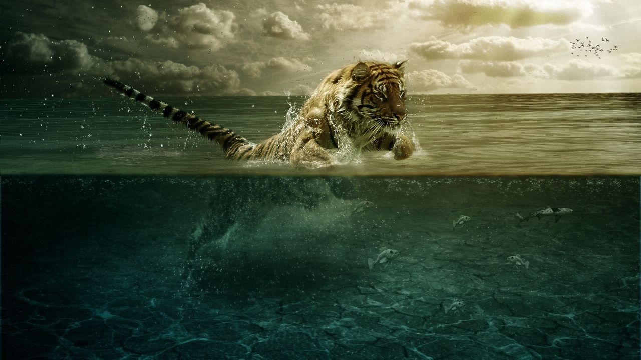 Обои тигр, прыжок, море, под водой, охота