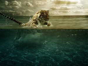 Превью обои тигр, прыжок, море, под водой, охота