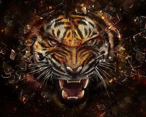 Превью обои тигр, стекло, осколки, агрессия, оскал