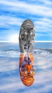 Превью обои тигр, вода, отражение, цветной, черно-белый, небо, волна, фотошоп