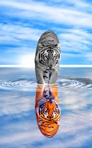 Превью обои тигр, вода, отражение, цветной, черно-белый, небо, волна, фотошоп