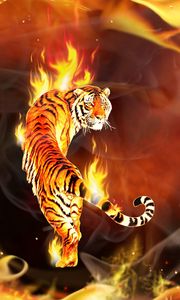Превью обои тигр, вокруг, объятый, пламя