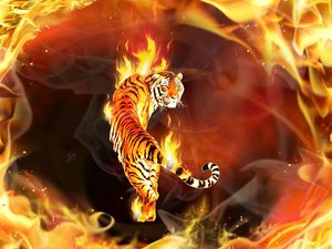 Превью обои тигр, вокруг, объятый, пламя