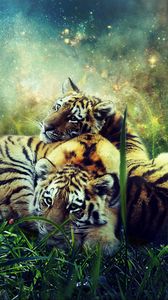 Превью обои тигры, детеныши, фотошоп, дикая природа