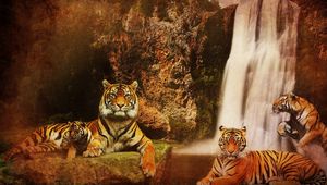 Превью обои тигры, водопад, горы, фон, кошки, вода, скалы, хищники