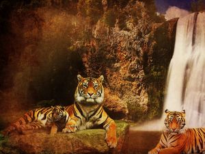 Превью обои тигры, водопад, горы, фон, кошки, вода, скалы, хищники