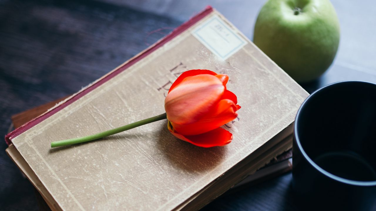 Обои тюльпан, цветок, книги, яблоко, очки, натюрморт, эстетика