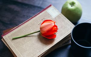 Превью обои тюльпан, цветок, книги, яблоко, очки, натюрморт, эстетика