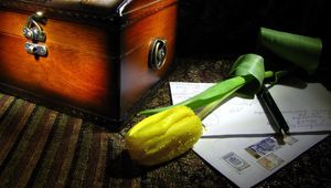Превью обои тюльпан, цветок, желтый, капли, свежесть, шкатулка, письмо