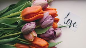 Превью обои тюльпаны, букет, бутоны