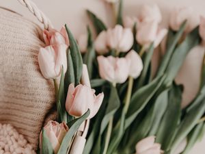 Превью обои тюльпаны, букет, корзинка, розовые, цветы, весенний