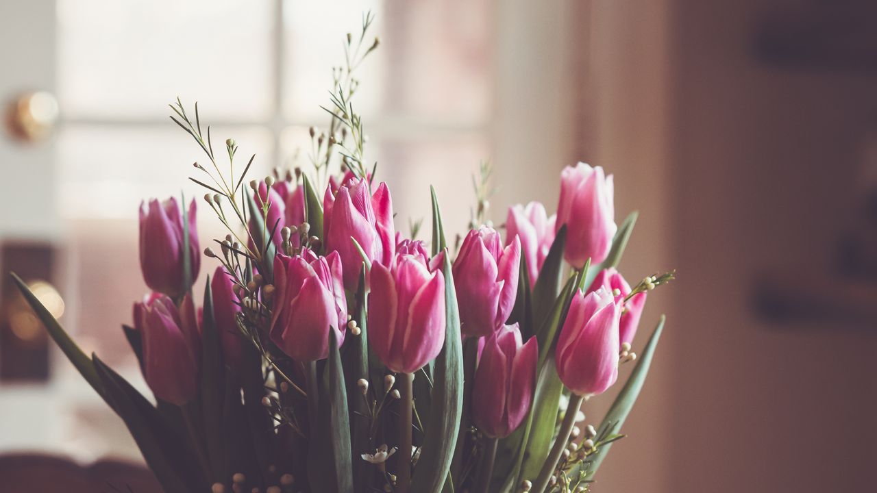 Обои тюльпаны, букет, розовый, листья, размытие
