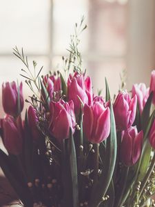 Превью обои тюльпаны, букет, розовый, листья, размытие