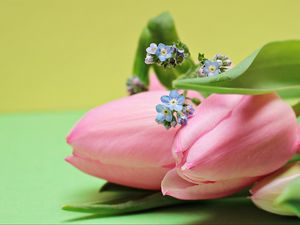 Превью обои тюльпаны, букет, розовый