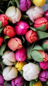Превью обои тюльпаны, букет, цветы