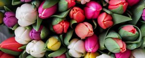 Превью обои тюльпаны, букет, цветы