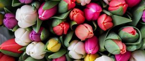 Превью обои тюльпаны, букет, цветы