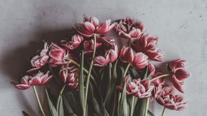 Превью обои тюльпаны, букет, цветы, бутоны, стебли