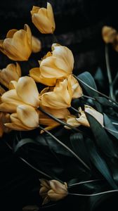 Превью обои тюльпаны, букет, желтый, цветы