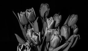 Превью обои тюльпаны, чб, букет