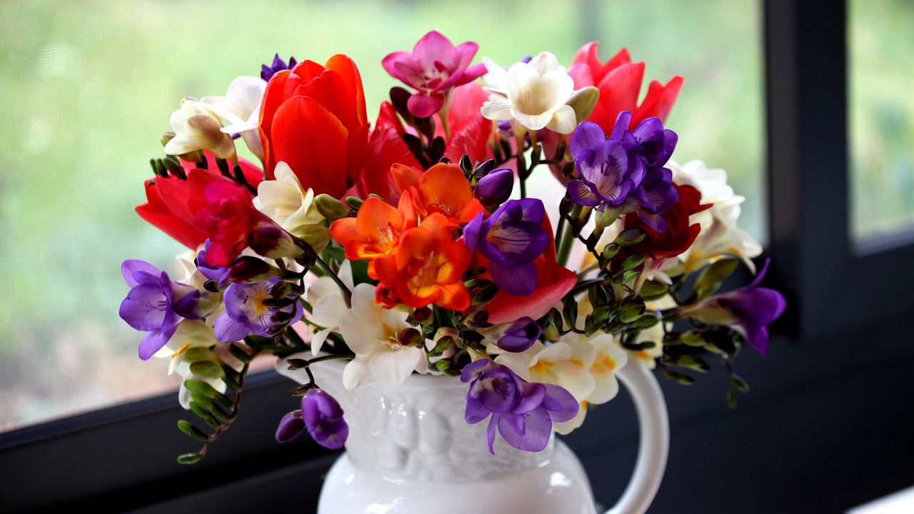 Обои тюльпаны, фрезия, цветы, букет, кувшин, окно