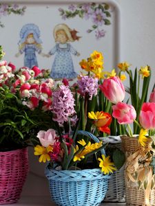 Превью обои тюльпаны, каланхоэ, нарциссы, гиацинт, фрезия, цветы, корзины, разнообразие