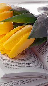 Превью обои тюльпаны, книга, цветы, букет