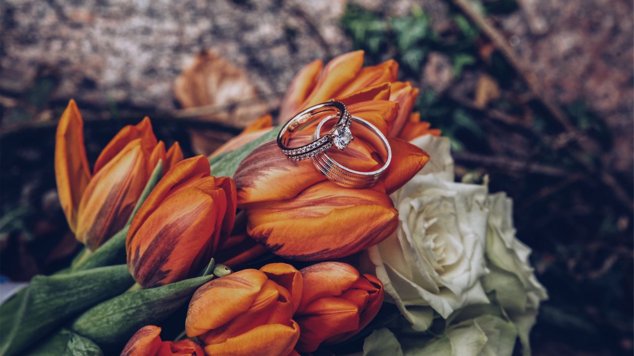 Обои тюльпаны, кольца, цветы, романтика, свадьба