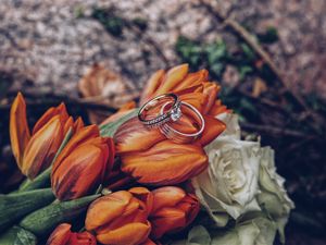 Превью обои тюльпаны, кольца, цветы, романтика, свадьба