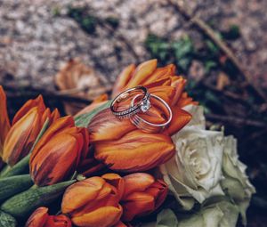 Превью обои тюльпаны, кольца, цветы, романтика, свадьба