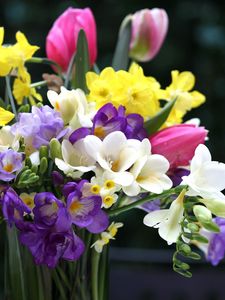 Превью обои тюльпаны, нарциссы, фрезия, букет, цветы, ваза