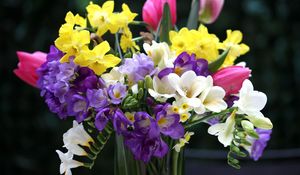 Превью обои тюльпаны, нарциссы, фрезия, букет, цветы, ваза